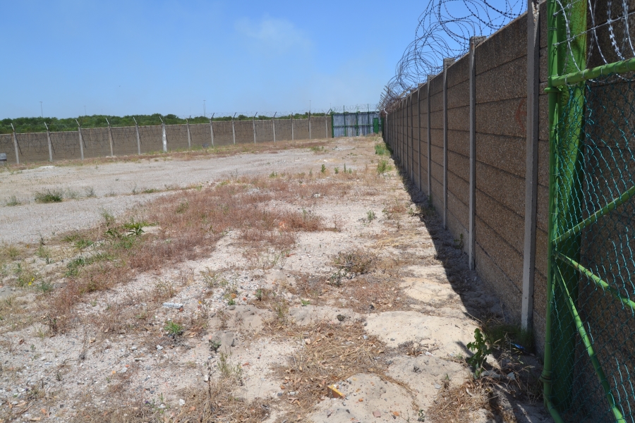 To Let commercial Property for Rent in Parow Industrial Western Cape